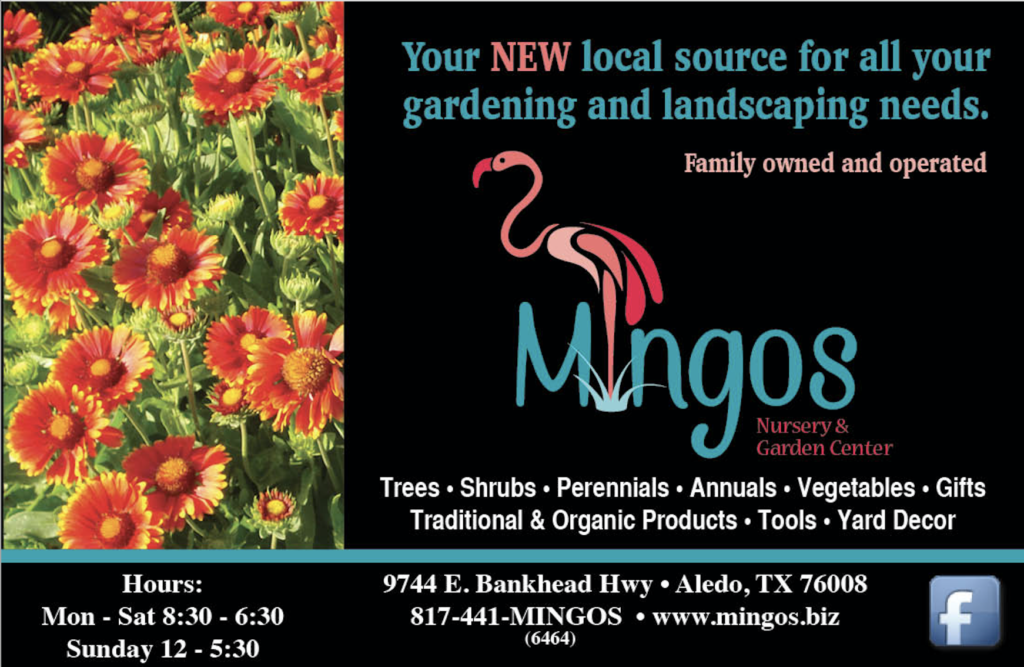 Mingos Nursery